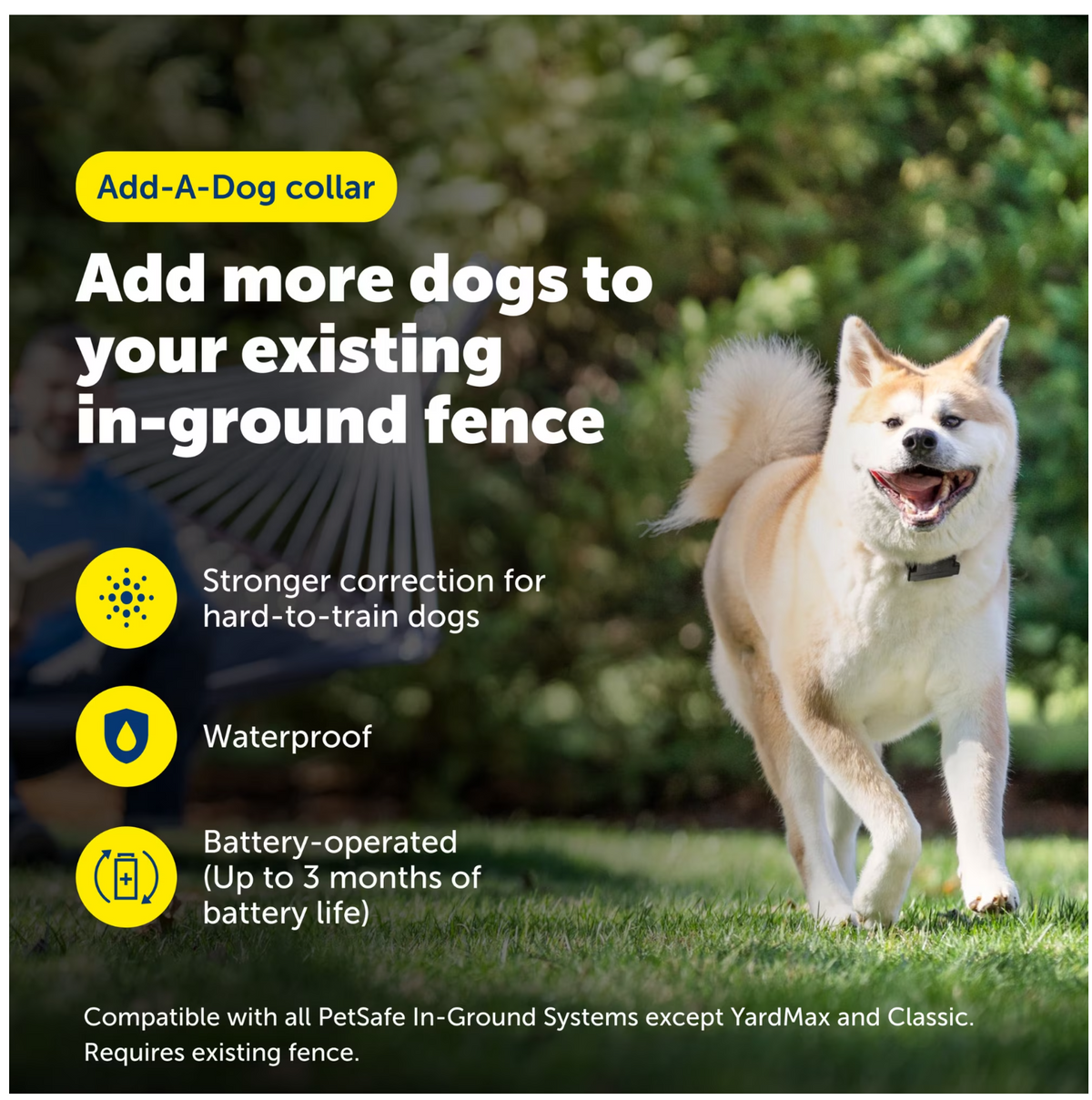 PetSafe Stubborn Dog Receiver Collar Only for Dogs +8 lb., Waterproof, Tone, Vibration & Static